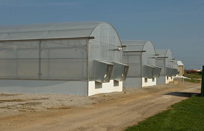 Exterior of greenhouses